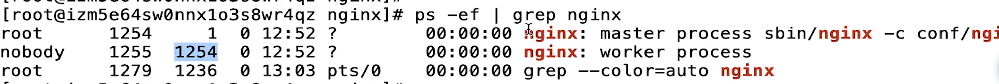 image-20220303012253315