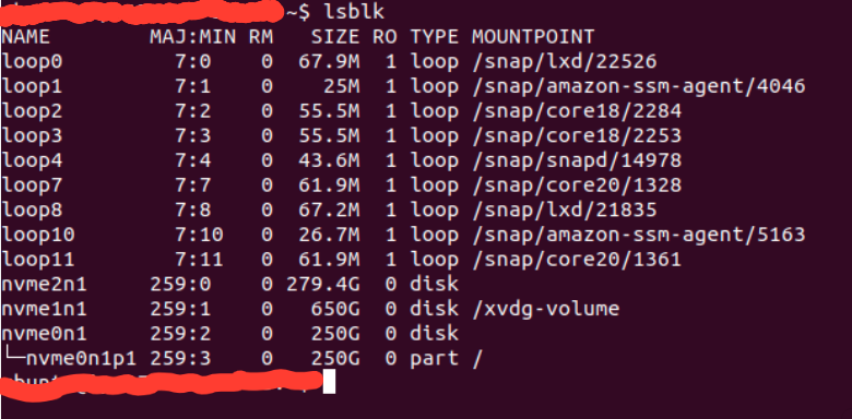 為什么 AWS 實體沒有顯示正確的外部附加存盤?