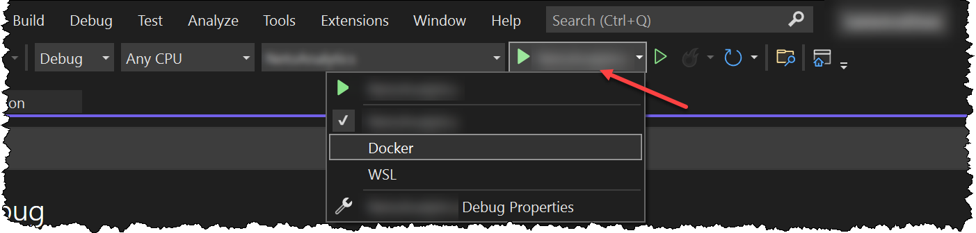 如何在 C# 中從 launchSettings.json 中提取 Docker 環境變數