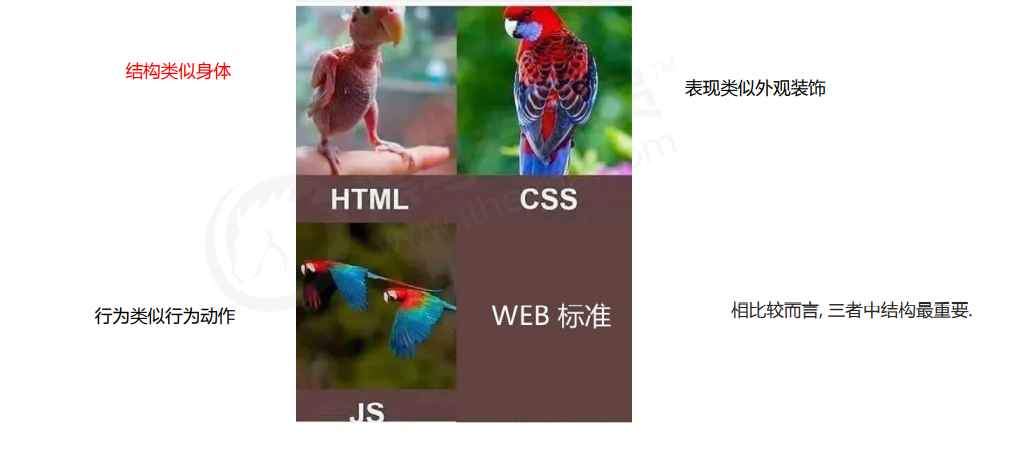 image-20211029215535213