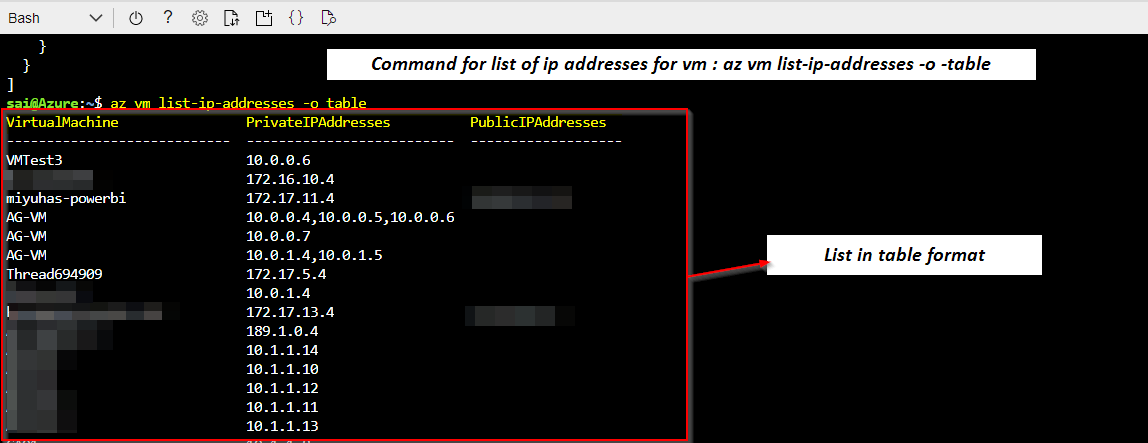 Azure CLI 列出具有關聯公共 IP 的 VM