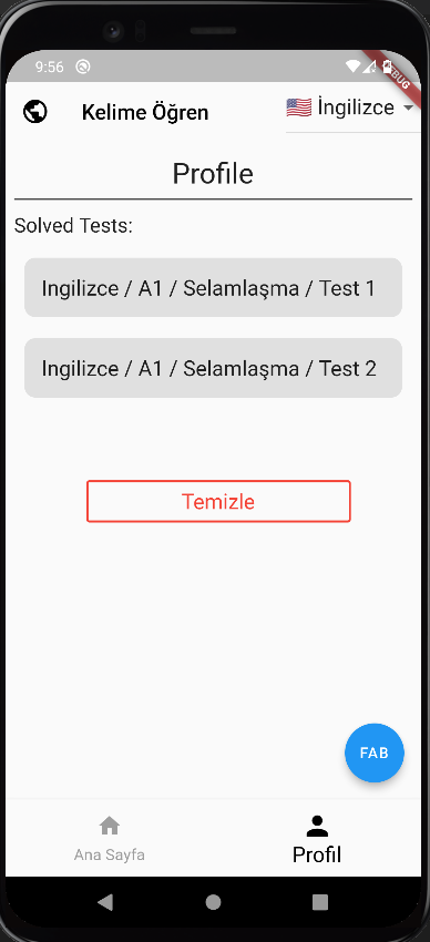Dart Flutter Emulator 讓手機看起來不一樣