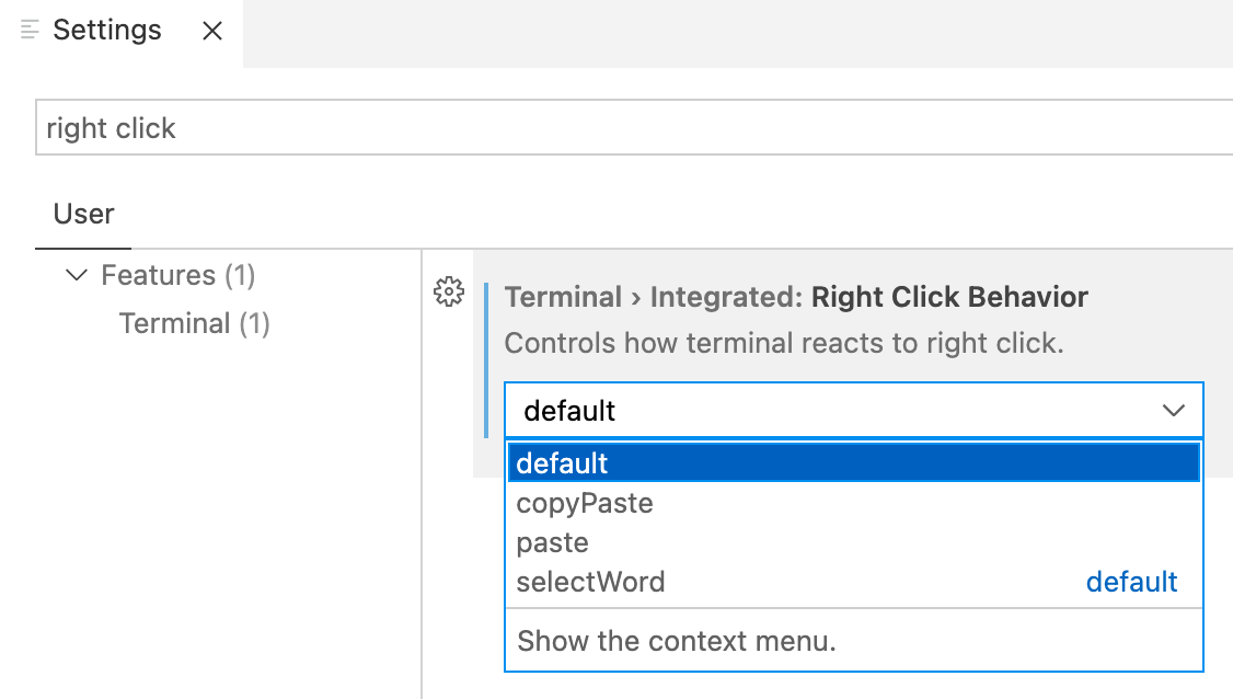 Visual Studio Code 中的 PowerShell 控制臺:如何復制粘貼?