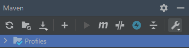 懸停時的 Intellij Idea 提示