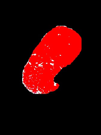 改變與確定顏色接觸的樣本像素的顏色 - python