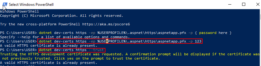 通過 HTTPS 除錯 dockercompose Visual Studio ASP.NET Core 2.2 出現錯誤