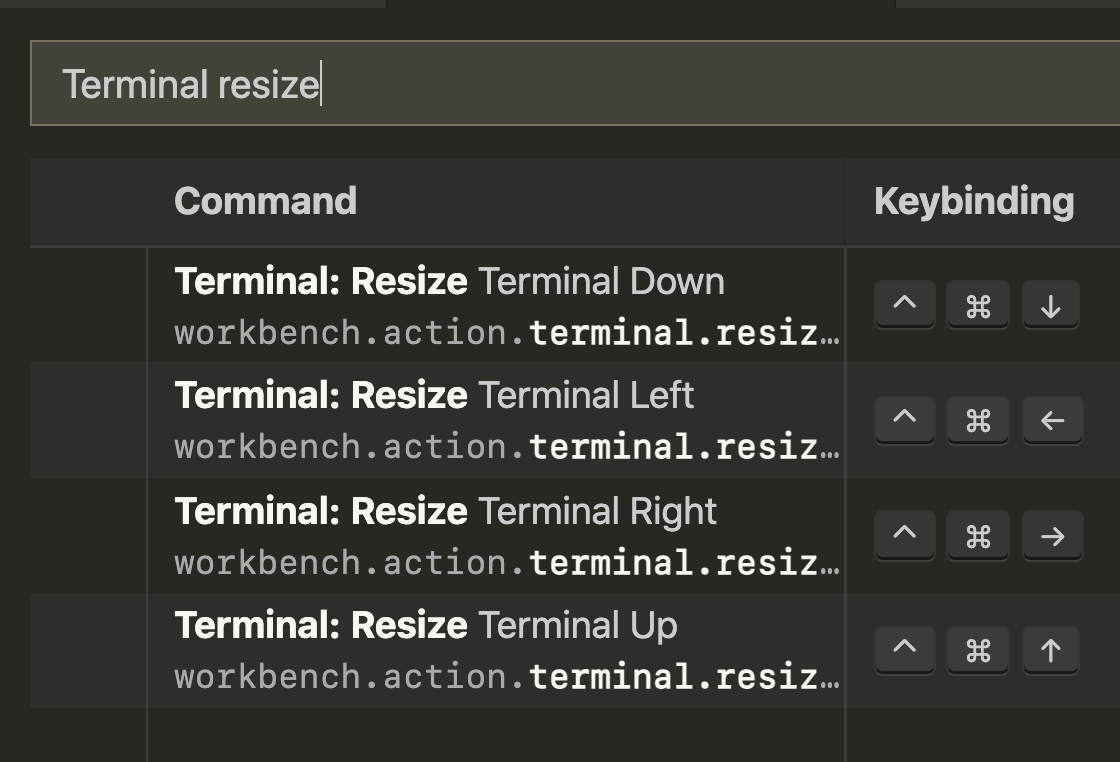 在側面板中最大化 VSCode 中的終端