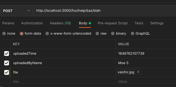 使用表單資料時,express-validator 無法評估正文欄位