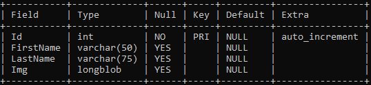 如何從 MySQL 檢索 img 到 pictureBox