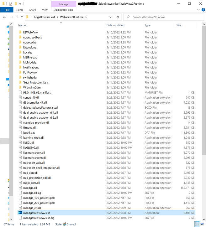 Delphi、WebView2/TEdgeBrowser 和固定運行時