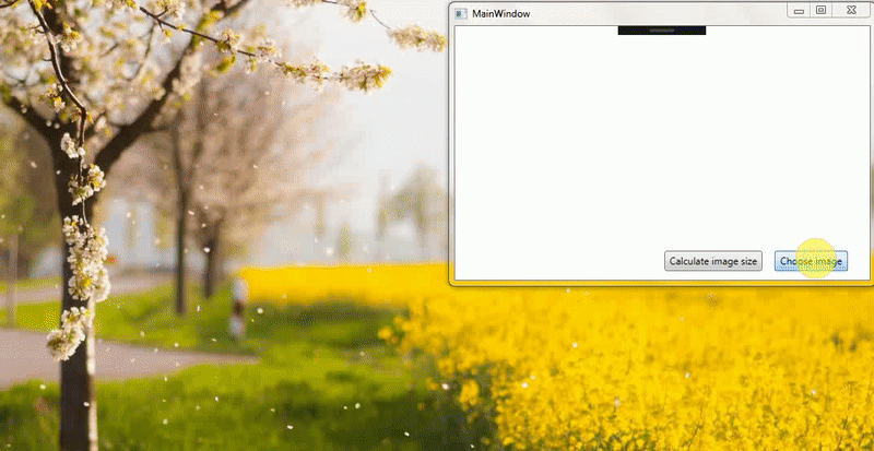 獲取 WPF ImageControl 中顯示影像的大小