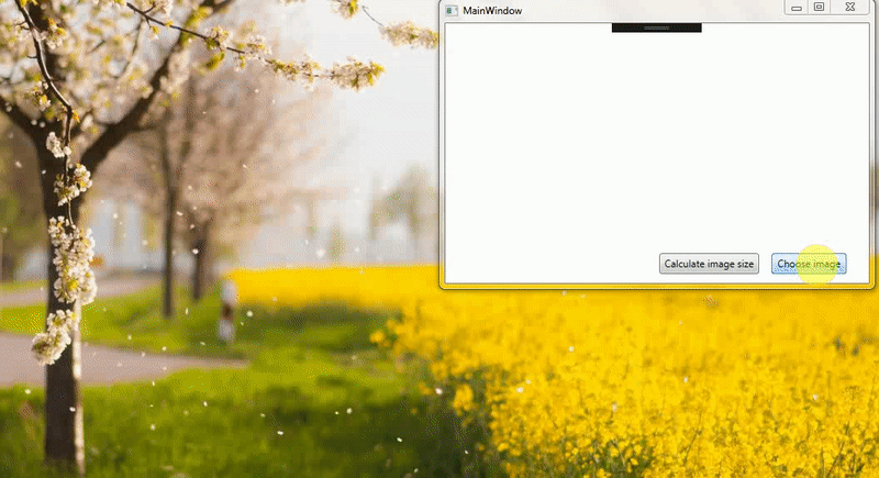 獲取 WPF ImageControl 中顯示影像的大小