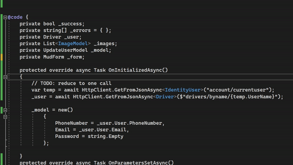 Visual Studio 2022 .razor 代碼塊閃爍