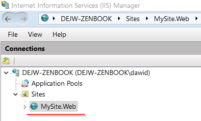 ASP.NET 6:獲取區分大小寫的 IIS 站點名稱