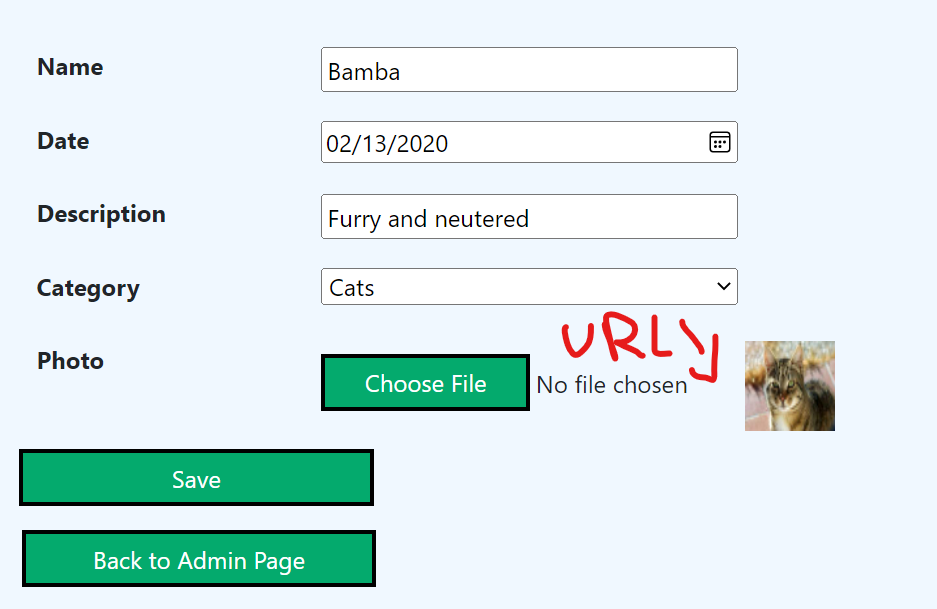 ASP .NET MVC：獲取 url 并在影像更改時查看影像