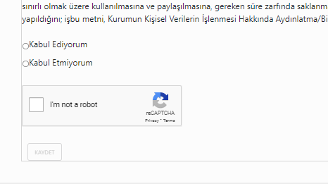 當我在 AutPostBack 為 true 的單選按鈕上選擇時,google recaptcha 去