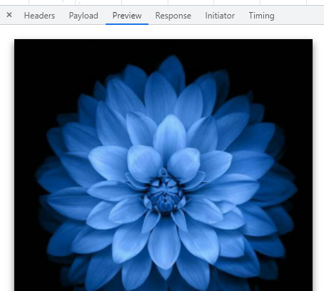 如何將來自 API 的影像資料轉換為 url 以在 react Js 的 img 標簽中使用