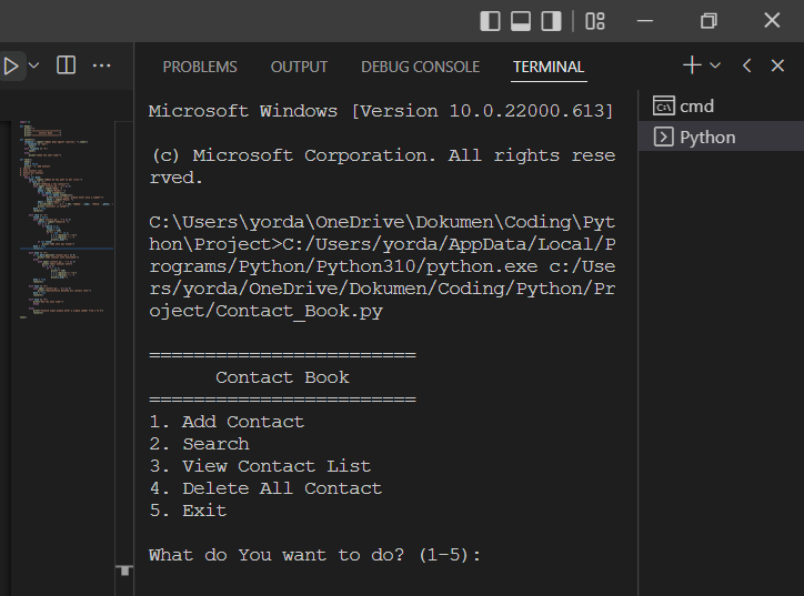 VSCode 的“運行 Python 檔案”按鈕不與默認終端同步