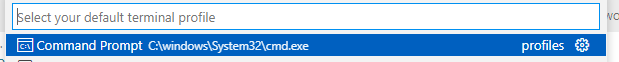 VSCode 的“運行 Python 檔案”按鈕不與默認終端同步