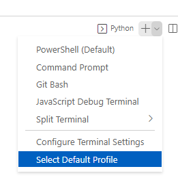 VSCode 的“運行 Python 檔案”按鈕不與默認終端同步