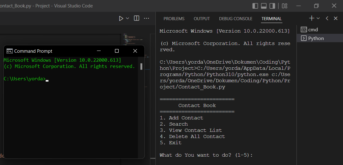VSCode 的“運行 Python 檔案”按鈕不與默認終端同步