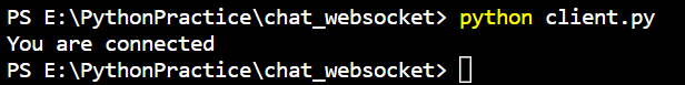 無法使用 Dart 客戶端連接 Python Websocket 服務器
