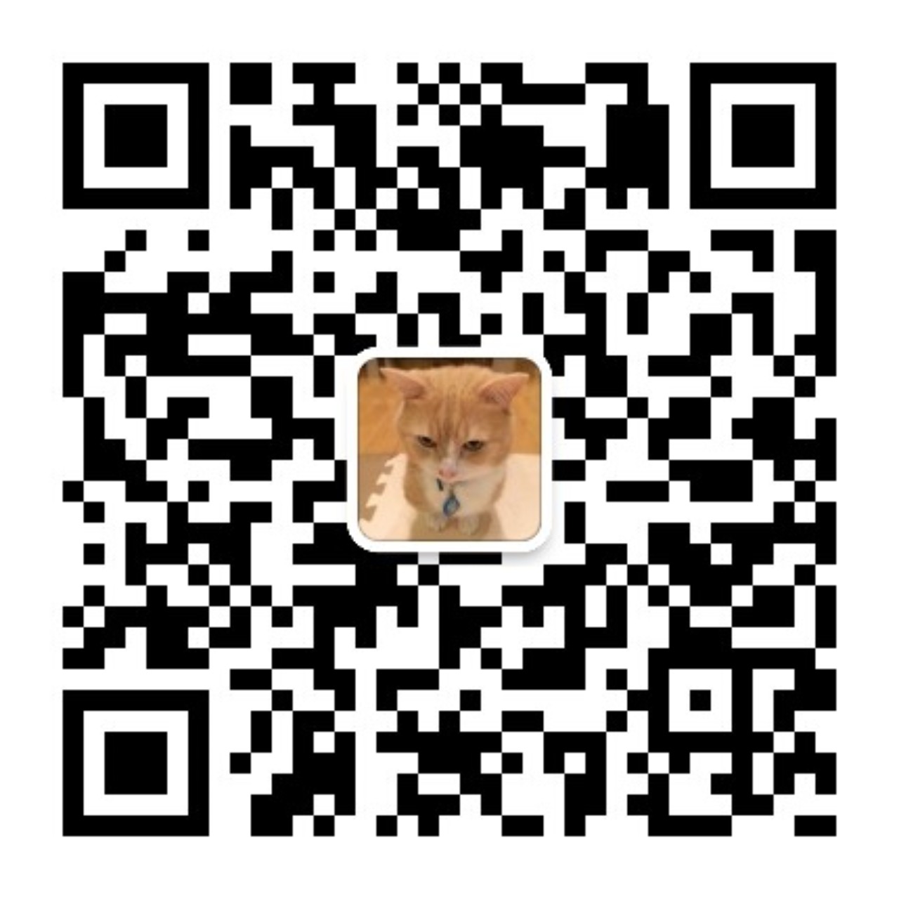 我的公眾號