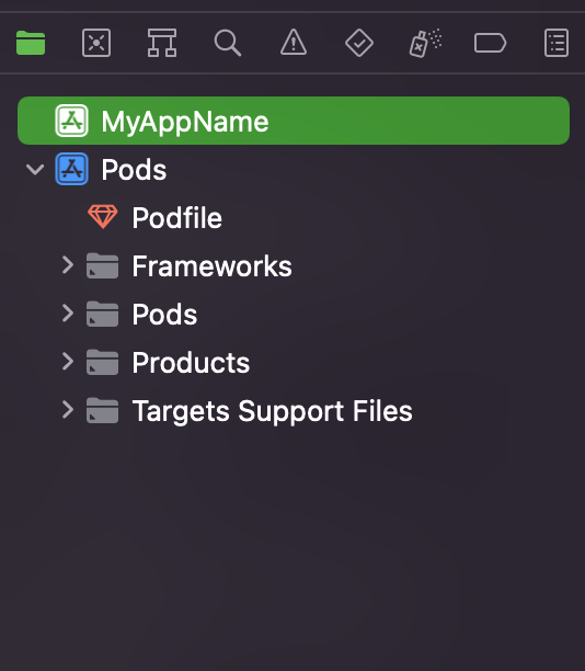 Cocoa Pods .xcworkspace 缺少我的專案