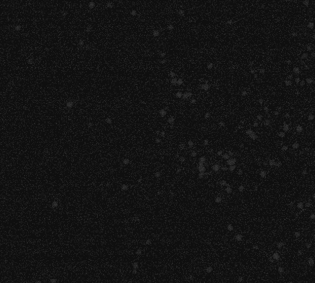 使用 Python OpenCV 進行粒子檢測