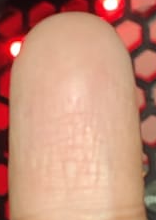 從邊界框獲取皮膚的二進制掩碼