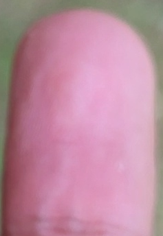 從邊界框獲取皮膚的二進制掩碼