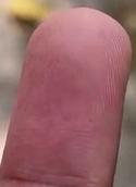 從邊界框獲取皮膚的二進制掩碼