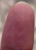 從邊界框獲取皮膚的二進制掩碼