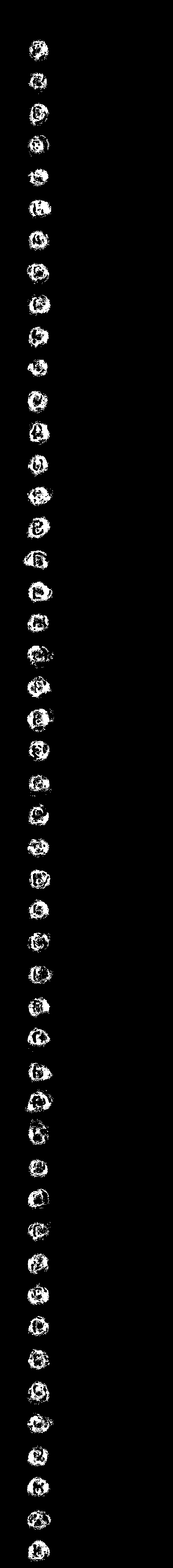 OpenCV OMR 表 - 在 Python 中檢測標記的答案 - 獲得正確的二值化