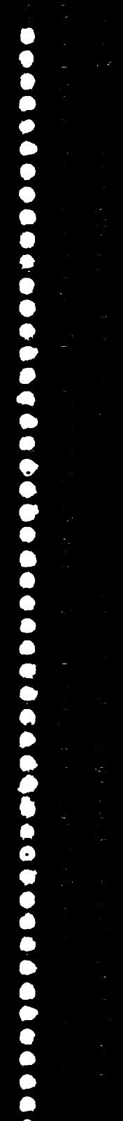 OpenCV OMR 表 - 在 Python 中檢測標記的答案 - 獲得正確的二值化