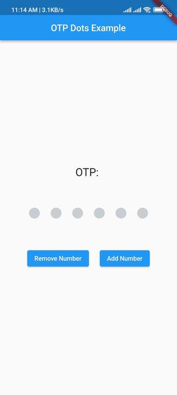 Flutter OTP 點占位符 UI