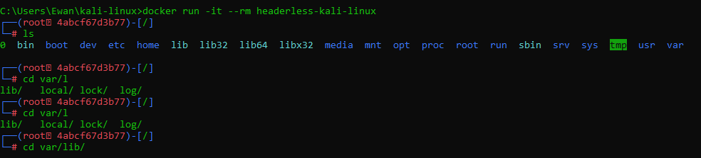 將卷安裝到 Kali Linux docker 容器會停止互動式 bash shell 美學功能?