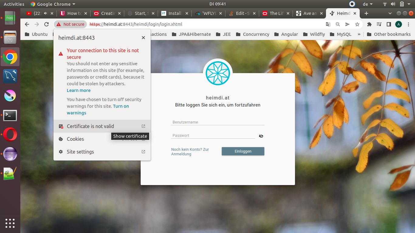 在 Wildfly 17 中啟用 SSL:瀏覽器顯示證書無效