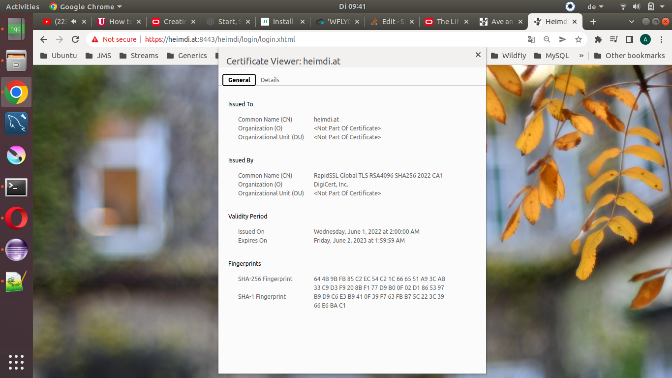 在 Wildfly 17 中啟用 SSL:瀏覽器顯示證書無效