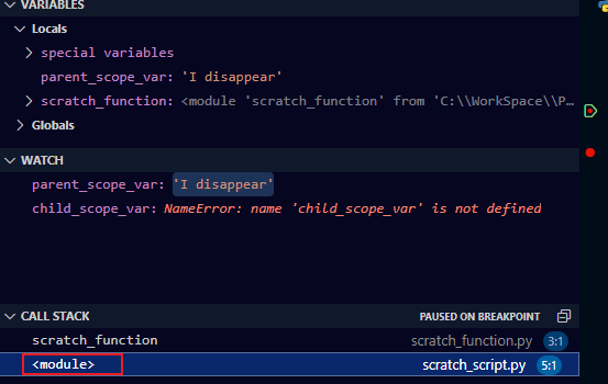 如何在使用 VS Code Python 除錯控制臺時查看父作用域中的變數
