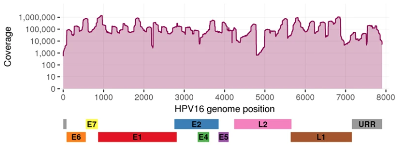如何在繪圖下方繪制坐標 - ggplot2?