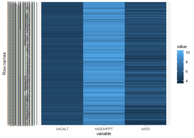 使用 ggplot R 的熱圖