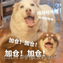 在這里插入圖片描述