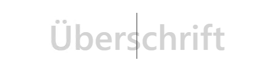 如何為我的 Richtextbox 元素制作占位符/水印?