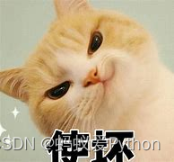 在這里插入圖片描述