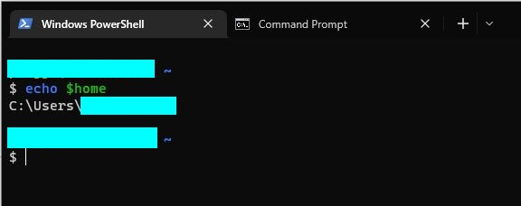 從 powershell 回顯/訪問環境變數
