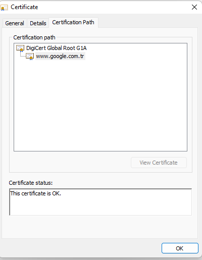 無法使用 www.google.com NET::ERR_CERT_COMMON_NAME_INVALID SSL 證書無效