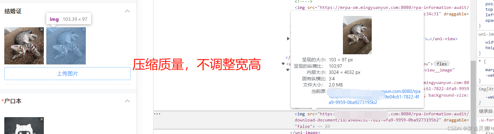 壓縮質量，不調整寬高
