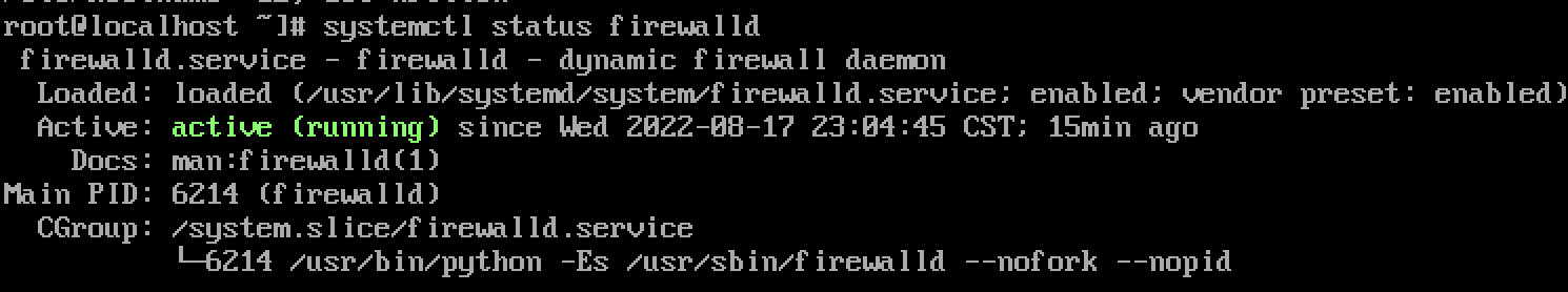 image-20220817232031949