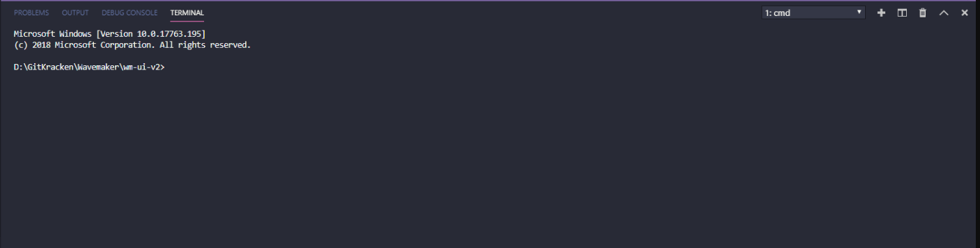 為什么我的 vscode 中的終端顯示看起來不一樣?